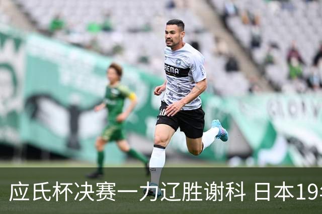 应氏杯决赛一力辽胜谢科 日本19年后重夺世冠